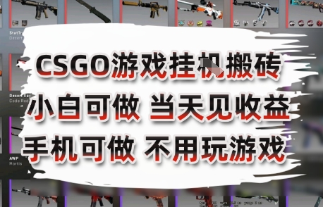 CSGO游戏挂G搬砖，小白纯手机即可操作，不用电脑打游戏，日入3张+，副业网创项目【揭秘】-雲鼎文化传媒