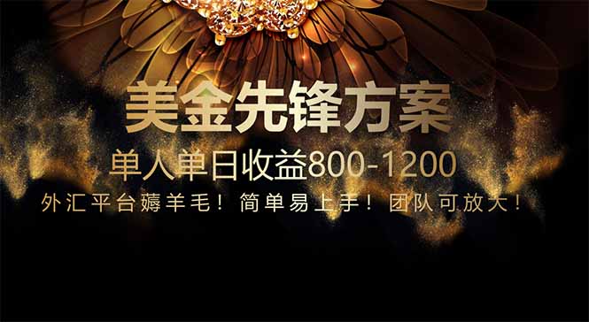 免费技术！小众赛道！一年布局抵三年努力，每日800+-雲鼎文化传媒