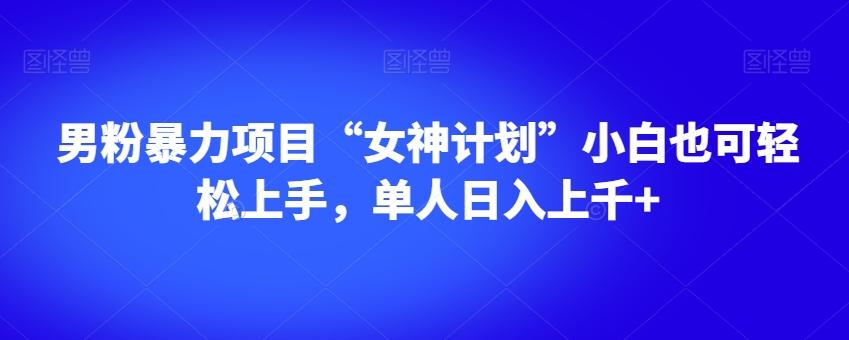 男粉暴力项目“女神计划”小白也可轻松上手，单人日入上千+【揭秘】-雲鼎文化传媒