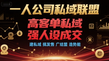 一人公司私域联盟，高客单私域，强人设成交，建私域 搞发售 广结盟 造势能-雲鼎文化传媒