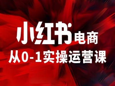 小红书电商从0-1实操运营课，让你从小白到精英-雲鼎文化传媒