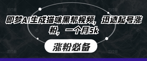 即梦AI生成猫咪黑帮视频，迅速起号涨粉，一个月5k-雲鼎文化传媒