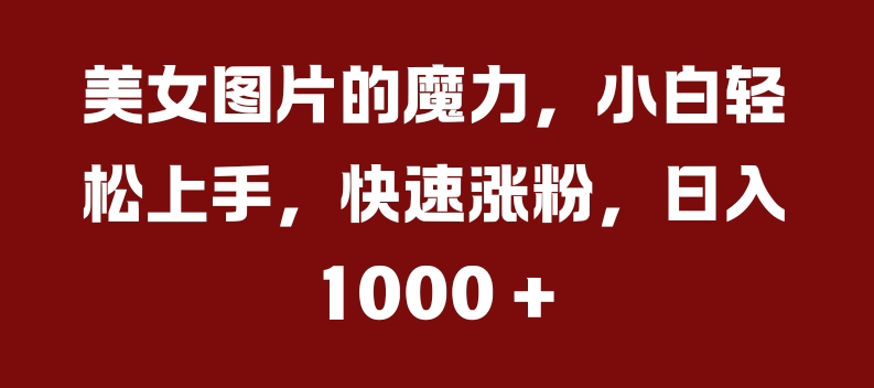美女图片的魔力，小白轻松上手，快速涨粉，日入几张【揭秘】-雲鼎文化传媒