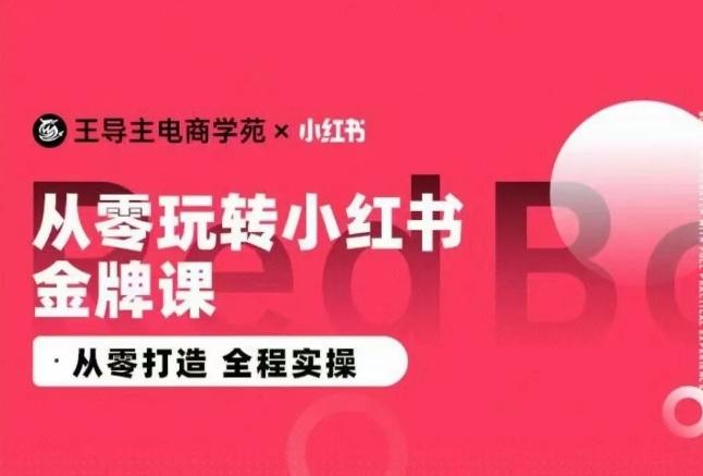 王导主·小红书电商运营实操课，​从零打造  全程实操-雲鼎文化传媒