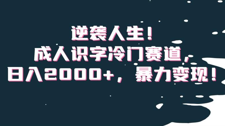 逆袭人生！成人识字冷门赛道，日入2000+，暴力变现！【揭秘】-雲鼎文化传媒