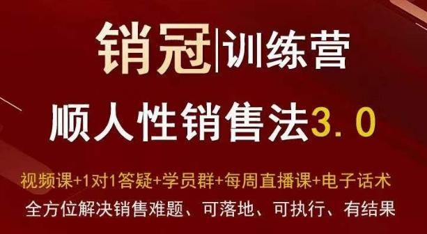 爆款！销冠训练营3.0之顺人性销售法，全方位解决销售难题、可落地、可执行、有结果-雲鼎文化传媒