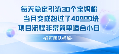 每天稳定引流30个人 当月变成超过了4个W项目流程非常简单适合小白-雲鼎文化传媒