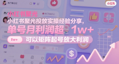 小红书聚光投放实操经验分享，单号月利润超1w+，可以矩阵起号放大利润-雲鼎文化传媒