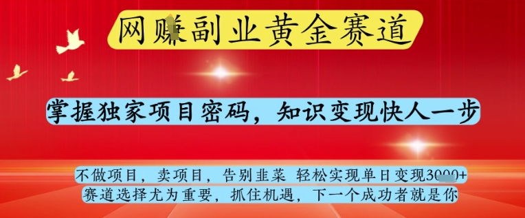 网创副业黄全赛道，掌握独家项目密码，知识变现快人一步，告别韭菜轻松实现单日变现1k+【揭秘】-雲鼎文化传媒