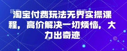淘宝付费玩法无界实操课程，高价解决一切烦恼，大力出奇迹-雲鼎文化传媒