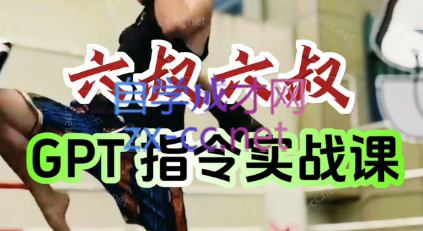 六叔的AI指令实战课(更新7月)-雲鼎文化传媒