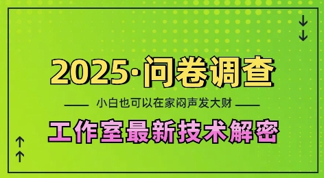 2025问卷调查最新工作室技术解密：一个人在家也可以闷声发大财，小白一天2张，可矩阵放大【揭秘】-雲鼎文化传媒