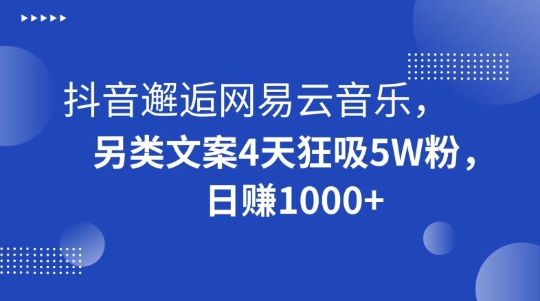 抖音邂逅网易云音乐，另类文案4天狂吸5W粉，日赚1000+【揭秘】-雲鼎文化传媒