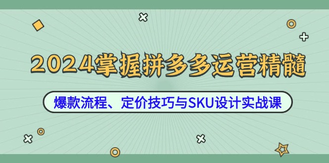 2024掌握拼多多运营精髓：爆款流程、定价技巧与SKU设计实战课-雲鼎文化传媒