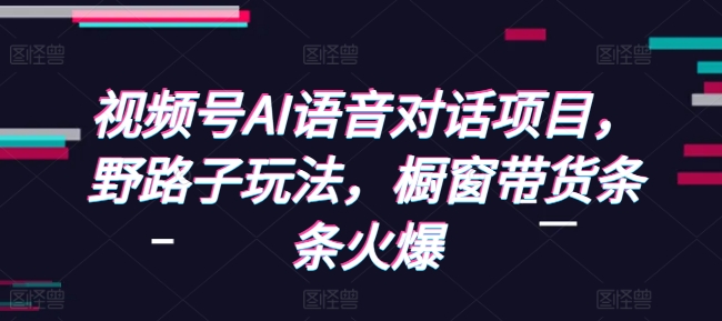 视频号AI语音对话项目，野路子玩法，橱窗带货条条火爆-雲鼎文化传媒