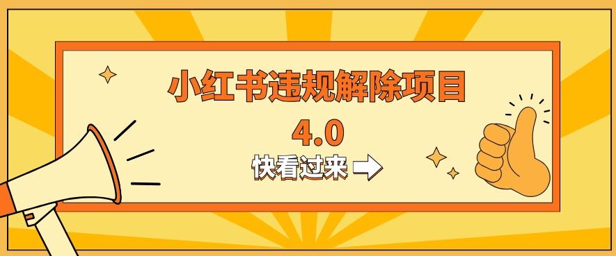 小红书违规掘金蓝海项目，日入800+（附带引流办法及解除办法）-雲鼎文化传媒