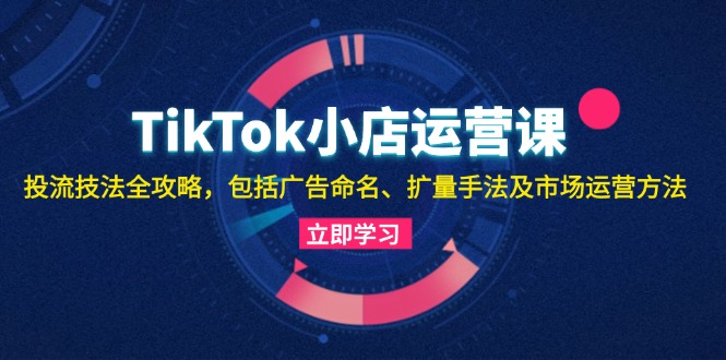 TikTok小店运营课：投流技法全攻略，包括广告命名 扩量手法及市场运营方法-雲鼎文化传媒