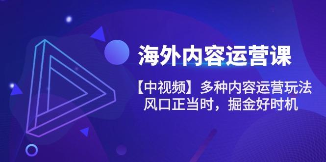 海外内容 运营课【中视频】多种内容运营玩法 风口正当时 掘金好时机-101节-雲鼎文化传媒