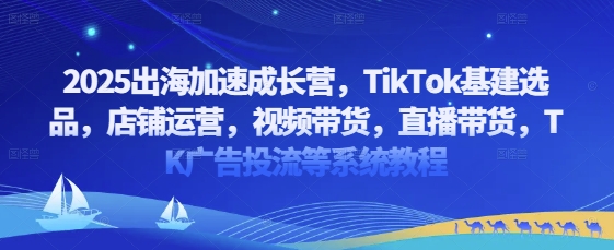 2025出海加速成长营，TikTok基建选品，店铺运营，视频带货，直播带货，TK广告投流等系统教程-雲鼎文化传媒