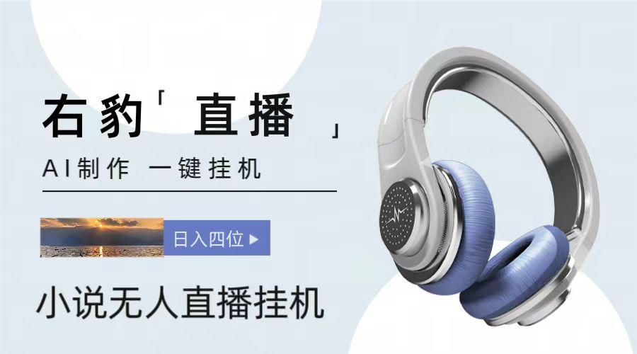 右豹小说无人直播挂机吸金项目，简单易行收益稳定， 月入1000+-雲鼎文化传媒