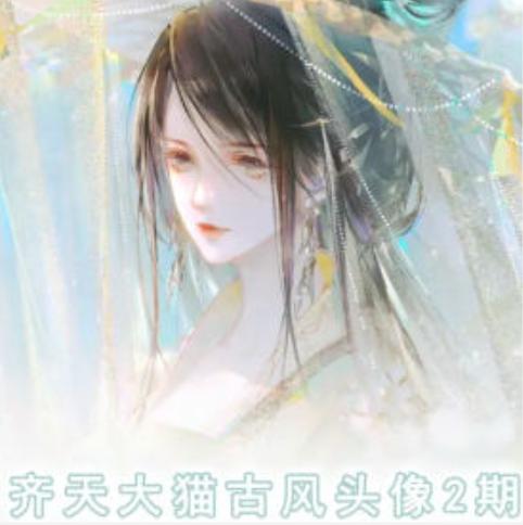 齐天大猫古风头像课第2期，帮助您提高您的绘画技能-雲鼎文化传媒