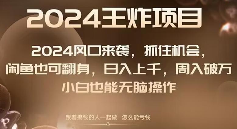 2024风口项目来袭，抓住机会，闲鱼也可翻身，日入上千，周入破万，小白也能无脑操作-雲鼎文化传媒
