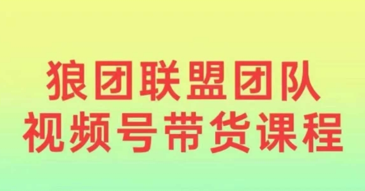 狼团联盟2024视频号带货，0基础小白快速入局视频号-雲鼎文化传媒