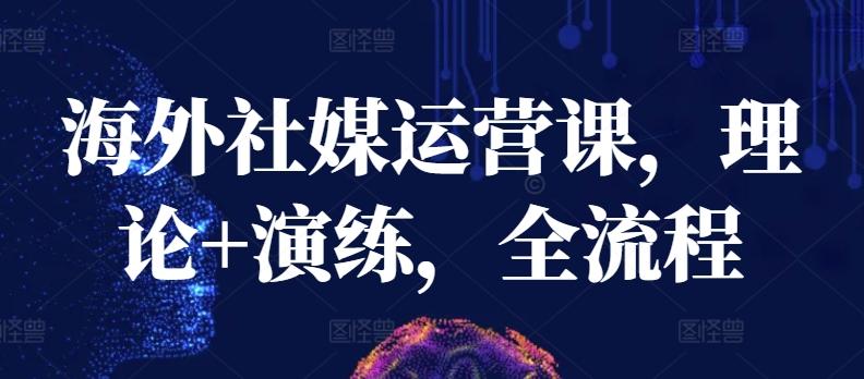海外社媒运营课，理论+演练，全流程-雲鼎文化传媒