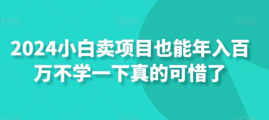 2024小白卖项目也能年入百万不学一下真的可惜了-雲鼎文化传媒