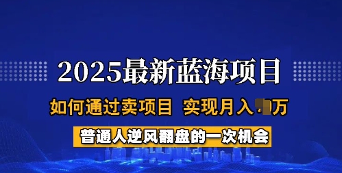 2025蓝海项目，普通人如何通过卖项目，实现月入过W，全过程【揭秘】-雲鼎文化传媒