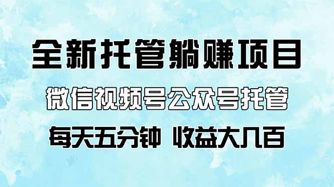 全新托管躺赚项目，微信视频号公众号托管代运营，每天五分钟，收益大几百-雲鼎文化传媒
