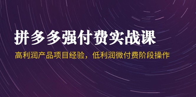 拼多多强付费实战课-44期，高利润产品项目经验，低利润微付费阶段操作-雲鼎文化传媒