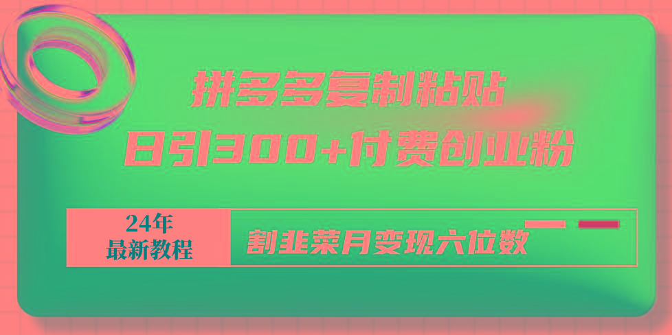 拼多多复制粘贴日引300+付费创业粉，割韭菜月变现六位数最新教程！-雲鼎文化传媒