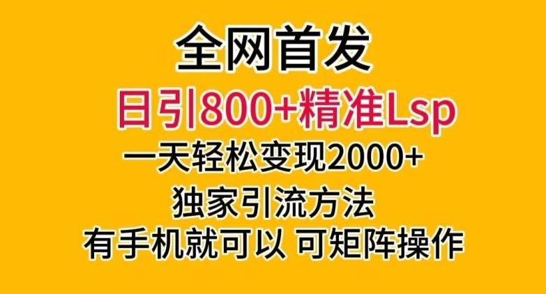 全网首发！日引800+精准老色批，一天变现2000+，独家引流方法，可矩阵操作【揭秘】-雲鼎文化传媒