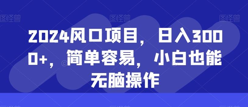 2024风口项目，日入3000+，简单容易，小白也能无脑操作-雲鼎文化传媒