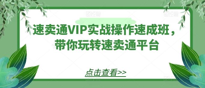 速卖通VIP实战操作速成班，带你玩转速卖通平台-雲鼎文化传媒