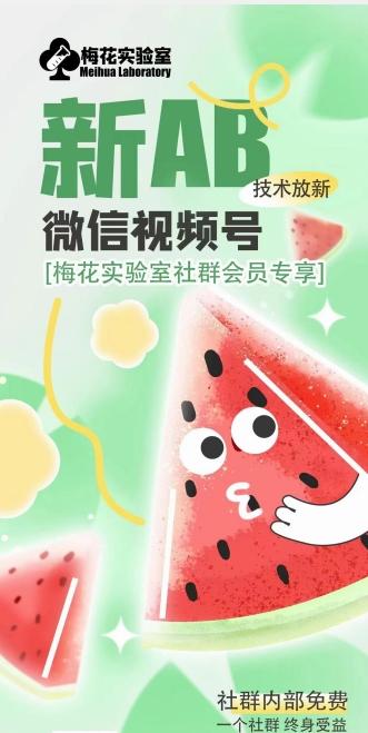 梅花实验室2024年AB技术视频号AB合成破解版-雲鼎文化传媒