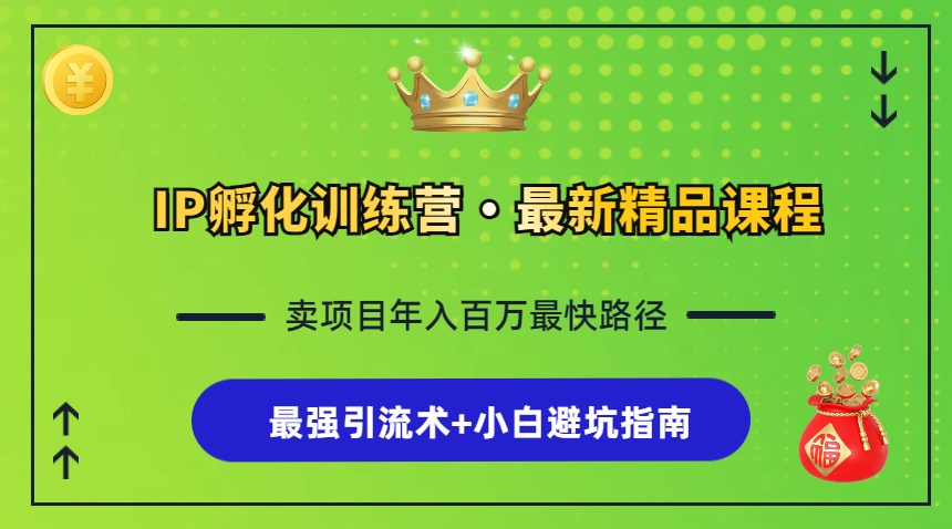 IP孵化训练营，知识付费全流程+最强引流术+小白避坑指南-雲鼎文化传媒