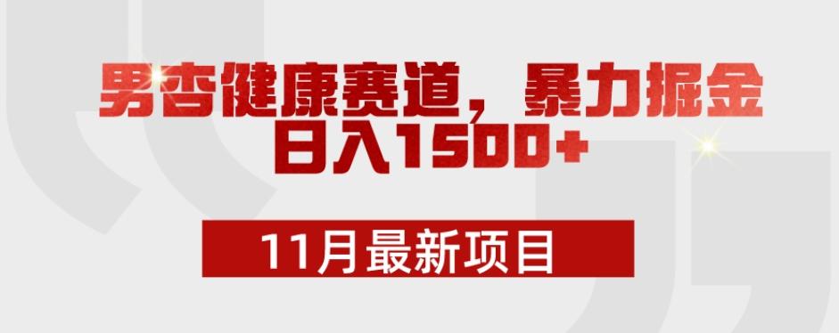 11月最新项目，男杏健康赛道，暴力掘金，日入1500+-雲鼎文化传媒