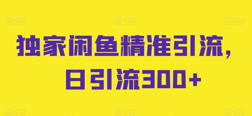 独家闲鱼精准引流，日引流300+【揭秘】-雲鼎文化传媒