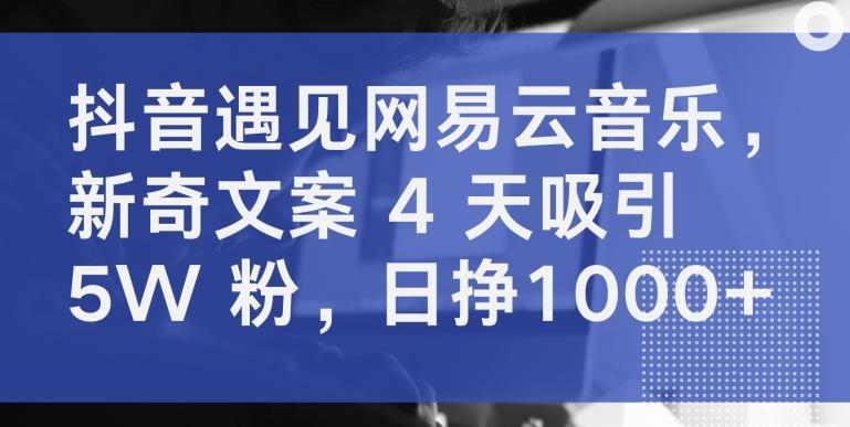 抖音遇见网易云音乐，新奇文案 4 天吸引 5W 粉，日挣1000+【揭秘】-雲鼎文化传媒