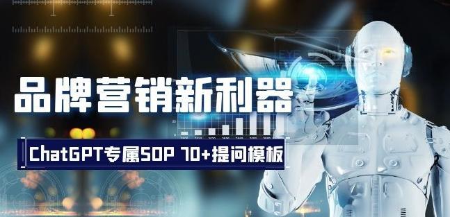 品牌营销新利器：ChatGPT专属SOP，70+提问模板【文档】-雲鼎文化传媒