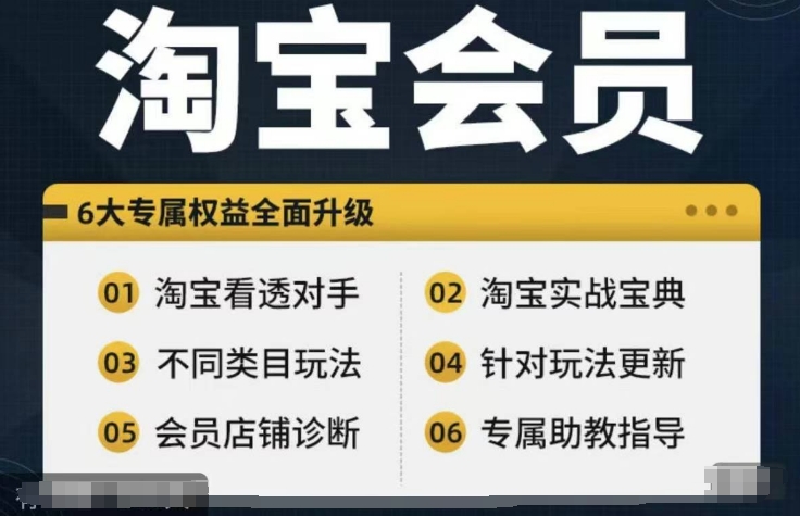 淘宝会员【淘宝所有课程，全面分析对手】，初级到高手全系实战宝典-雲鼎文化传媒
