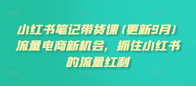 小红书笔记带货课(更新25年1月)流量电商新机会，抓住小红书的流量红利-雲鼎文化传媒