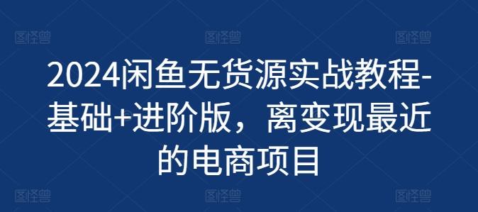 2024闲鱼无货源实战教程-基础+进阶版，离变现最近的电商项目-雲鼎文化传媒