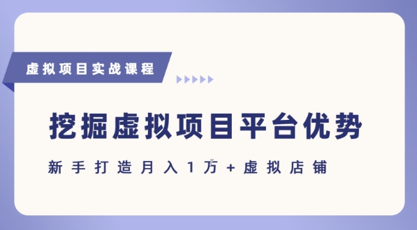抓住虚拟项目各平台优势，新手轻松月入1W+(给出具体建议)-雲鼎文化传媒