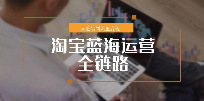 淘宝蓝海运营全链路，从选品到流量变现，小类目突围完整方案-雲鼎文化传媒