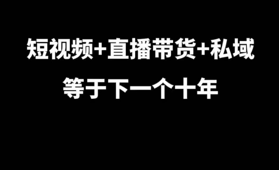 短视频+直播带货+私域等于下一个十年，大佬7年实战经验总结-雲鼎文化传媒