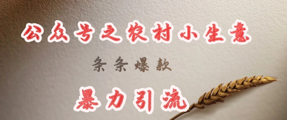 deepseek写农村小项目，条条爆款，暴力引流-雲鼎文化传媒