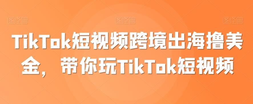 TikTok短视频跨境出海撸美金，带你玩TikTok短视频-雲鼎文化传媒